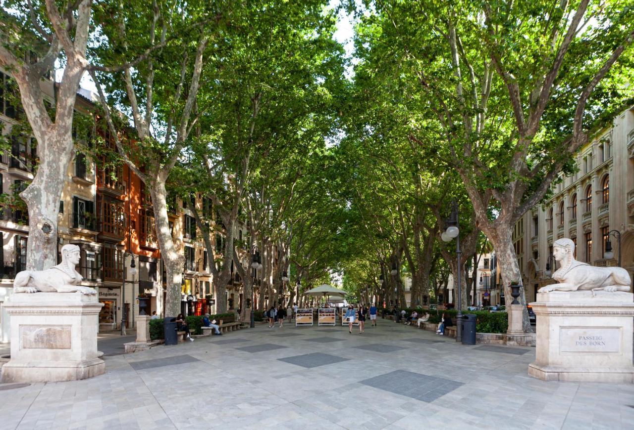 Hotel Nivia Born Boutique Palma di Maiorca